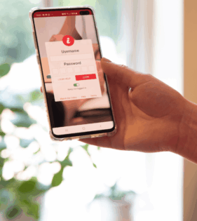 Online career development tool for mobile